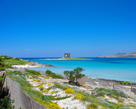 Torre della Pelosa nel Golfo dell'Asinara