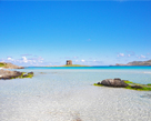 Spiaggia La Pelosa Sardegna Nord Ovest